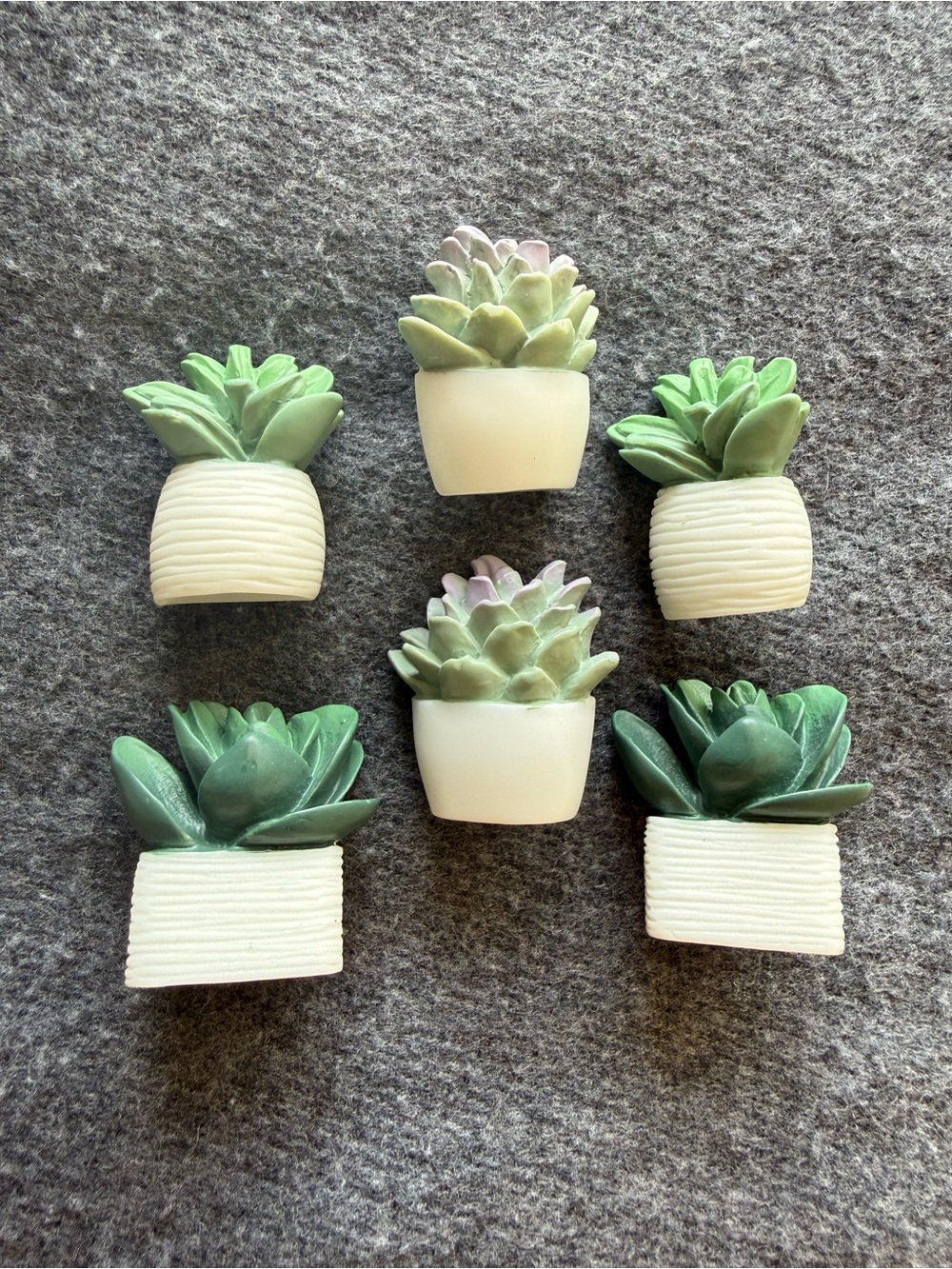 Set of 6 Mini Ceramic Succulent Magnets in Green and Cream